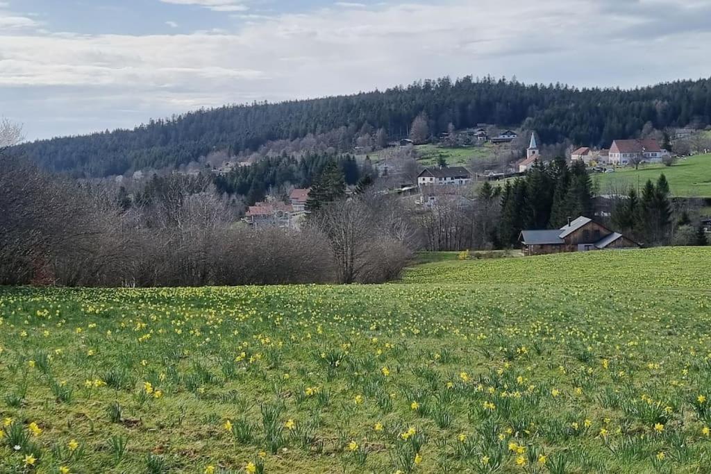 Le Grenier De Jules Et Marguerite Villa Liézey Eksteriør billede